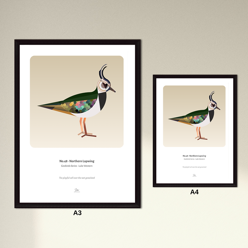 Thumbnail: Lapwing Art Print