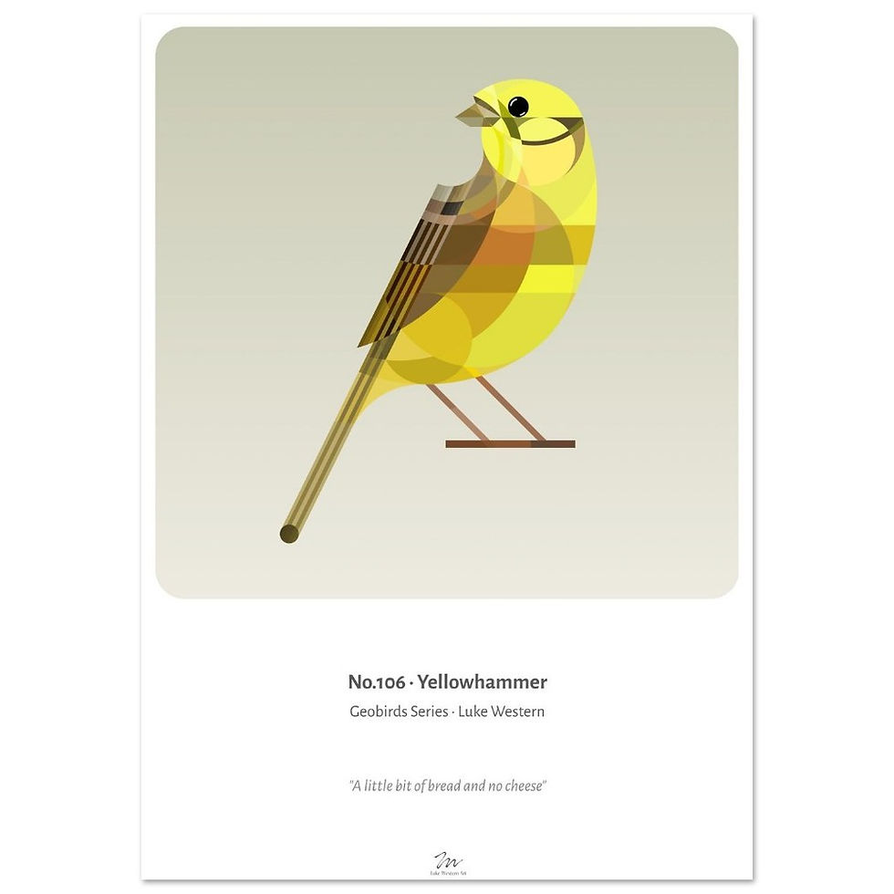 Thumbnail: Yellowhammer Art Print