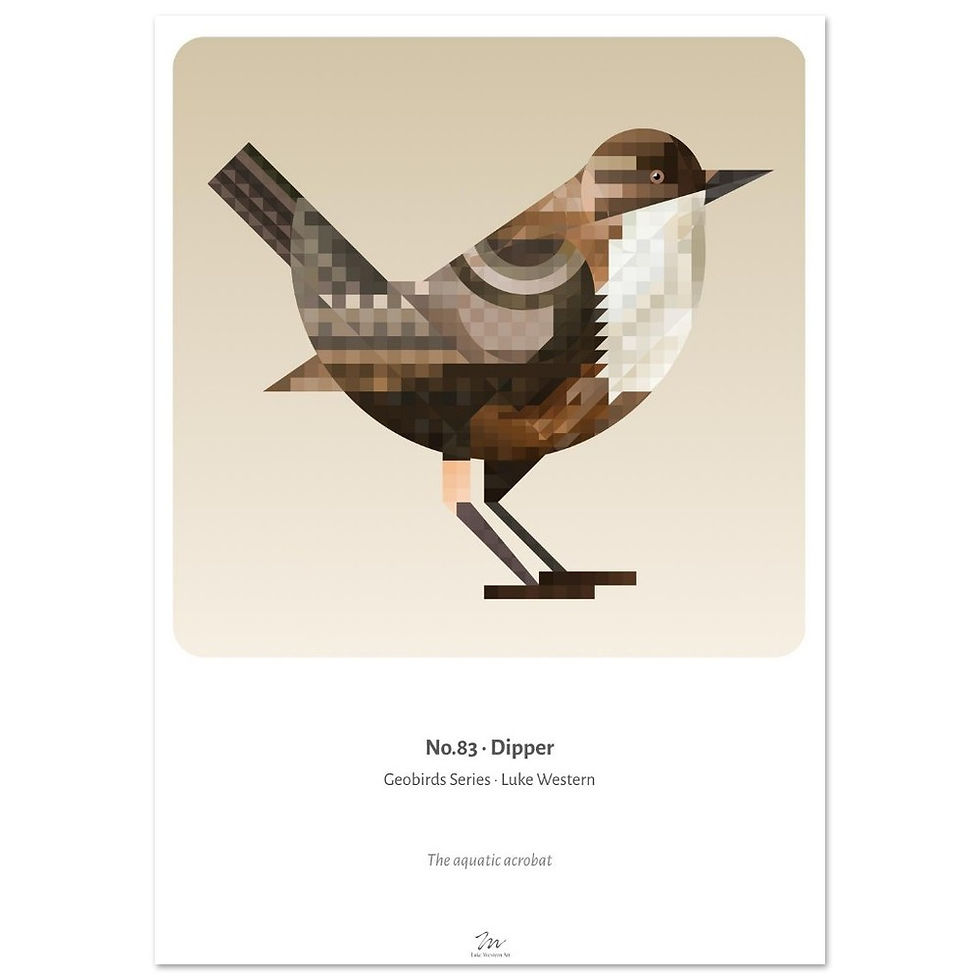 Thumbnail: Dipper Art Print