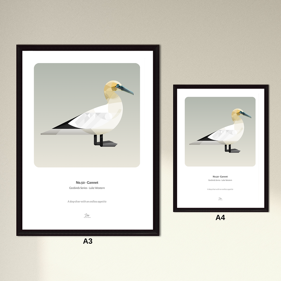 Thumbnail: Gannet Art Print