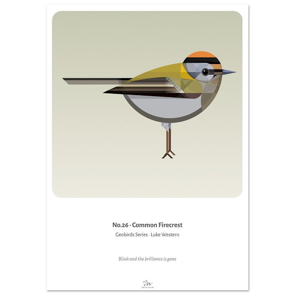 Thumbnail: Firecrest Art Print