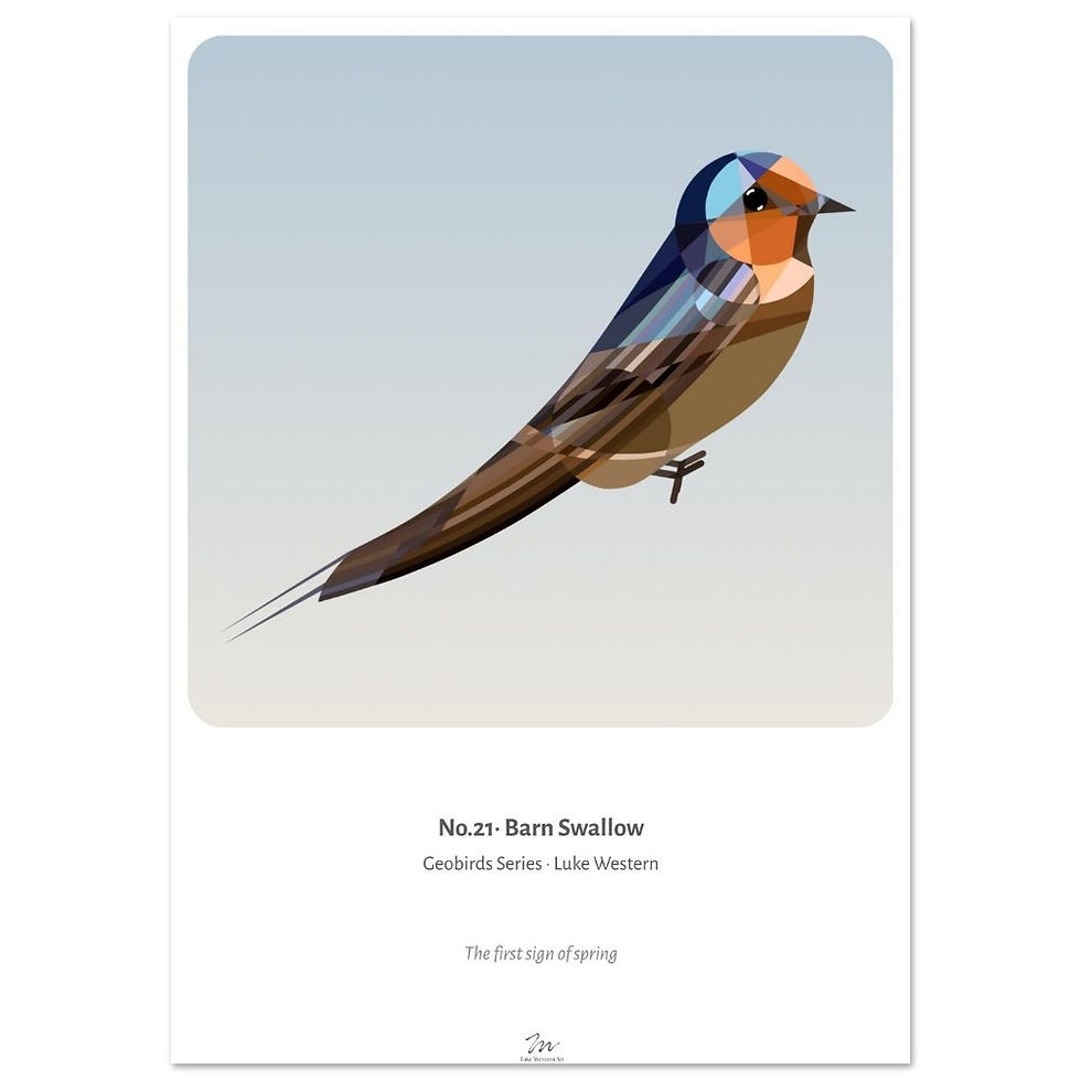 Thumbnail: Barn Swallow Art Print
