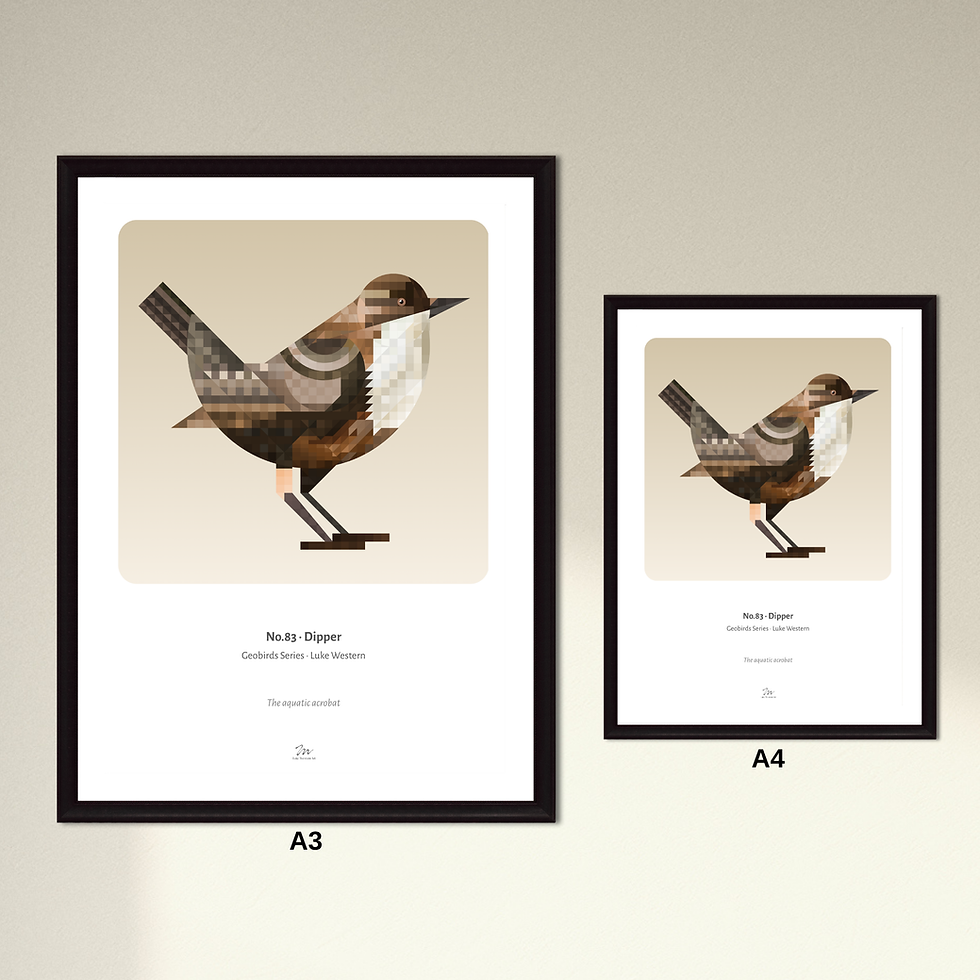 Thumbnail: Dipper Art Print