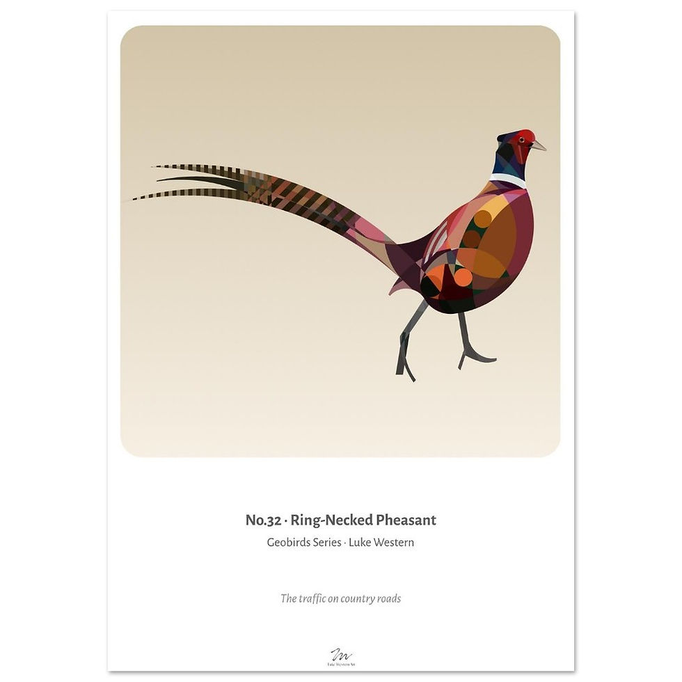 Thumbnail: Ring - Necked Pheasant Art Print