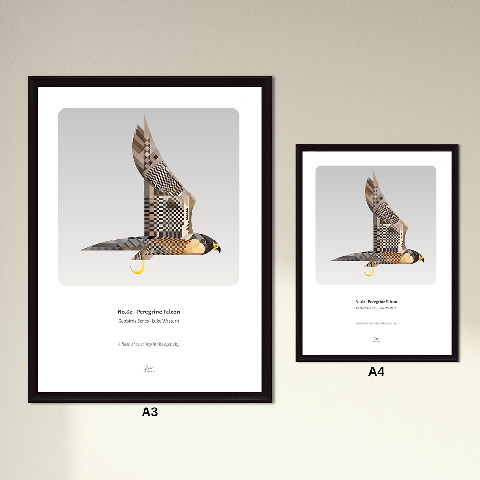 Thumbnail: Peregrine Falcon Art Print