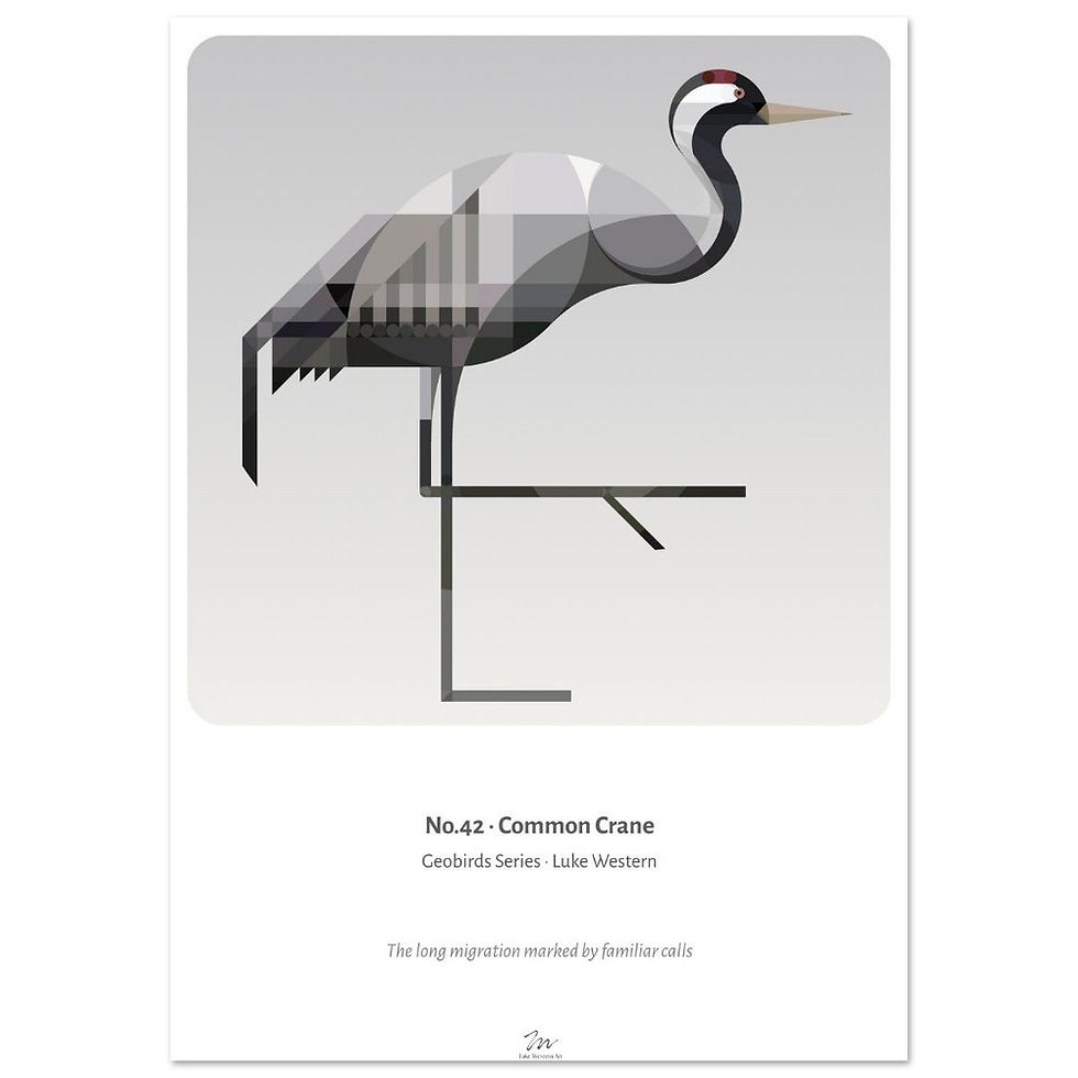Thumbnail: Common Crane Art Print