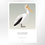 Thumbnail: Great White Pelican Art Print