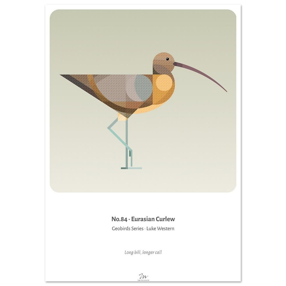 Thumbnail: Curlew Art Print