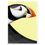Thumbnail: Puffin in Flight Graphic Poster