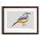 Thumbnail: Grey Wagtail Bird Art Print