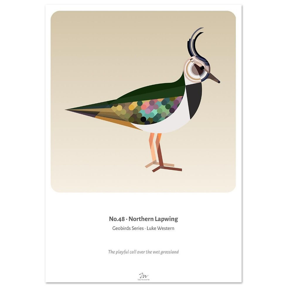 Thumbnail: Lapwing Art Print