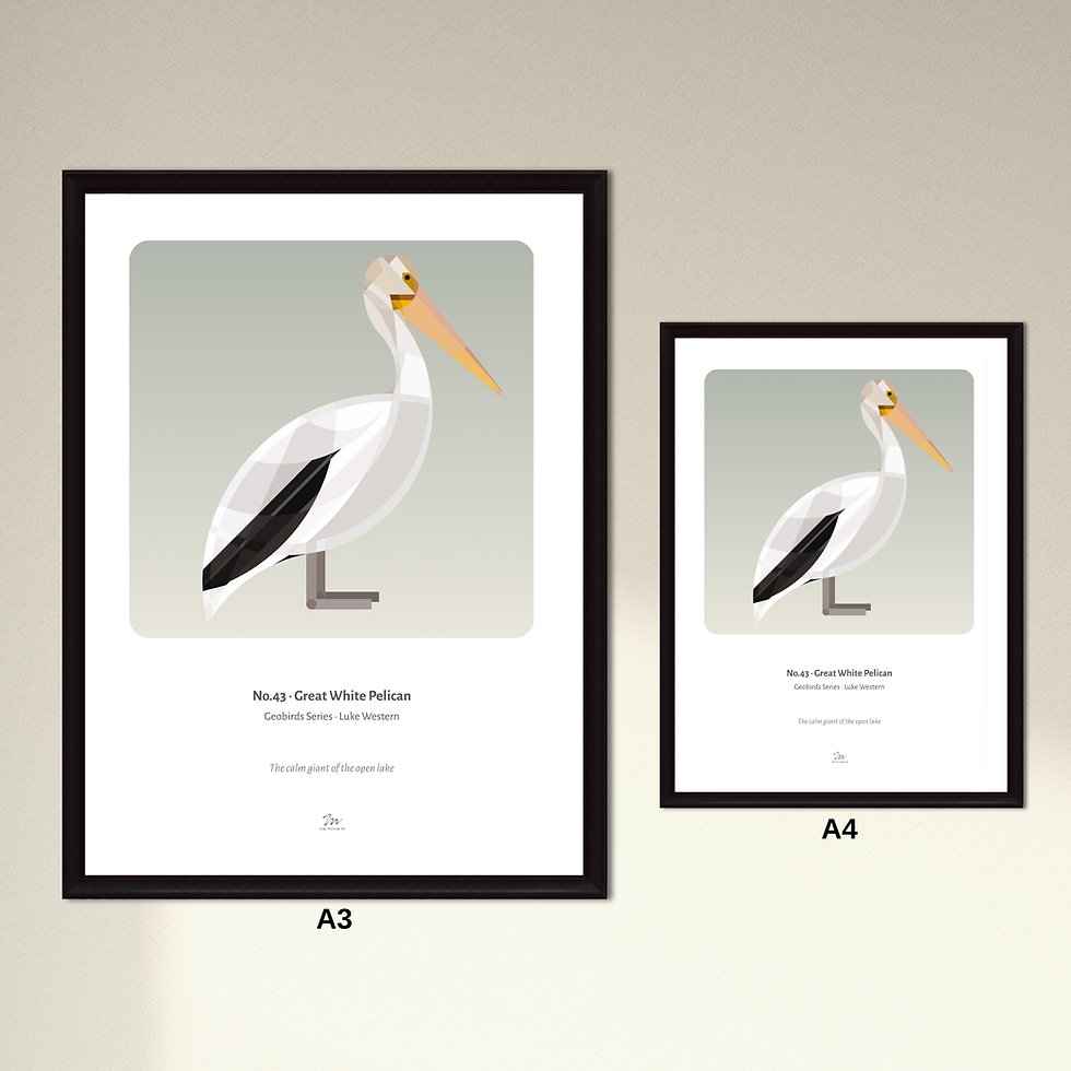 Thumbnail: Great White Pelican Art Print