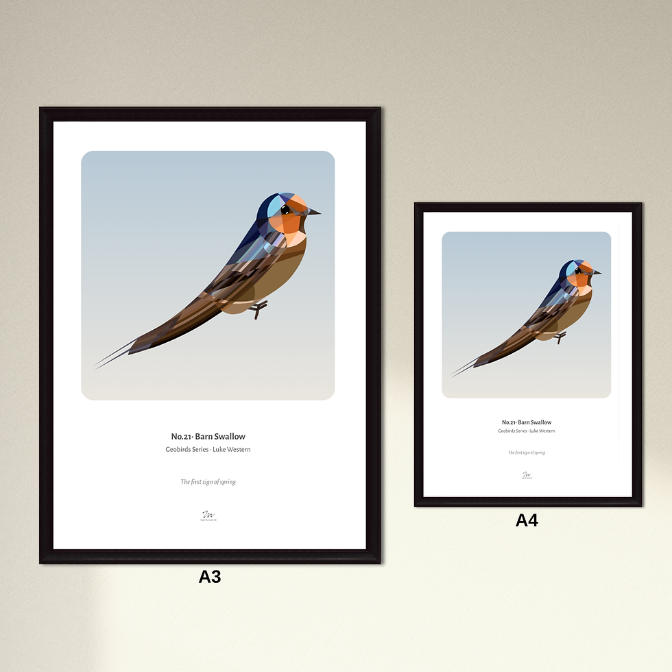 Thumbnail: Barn Swallow Art Print