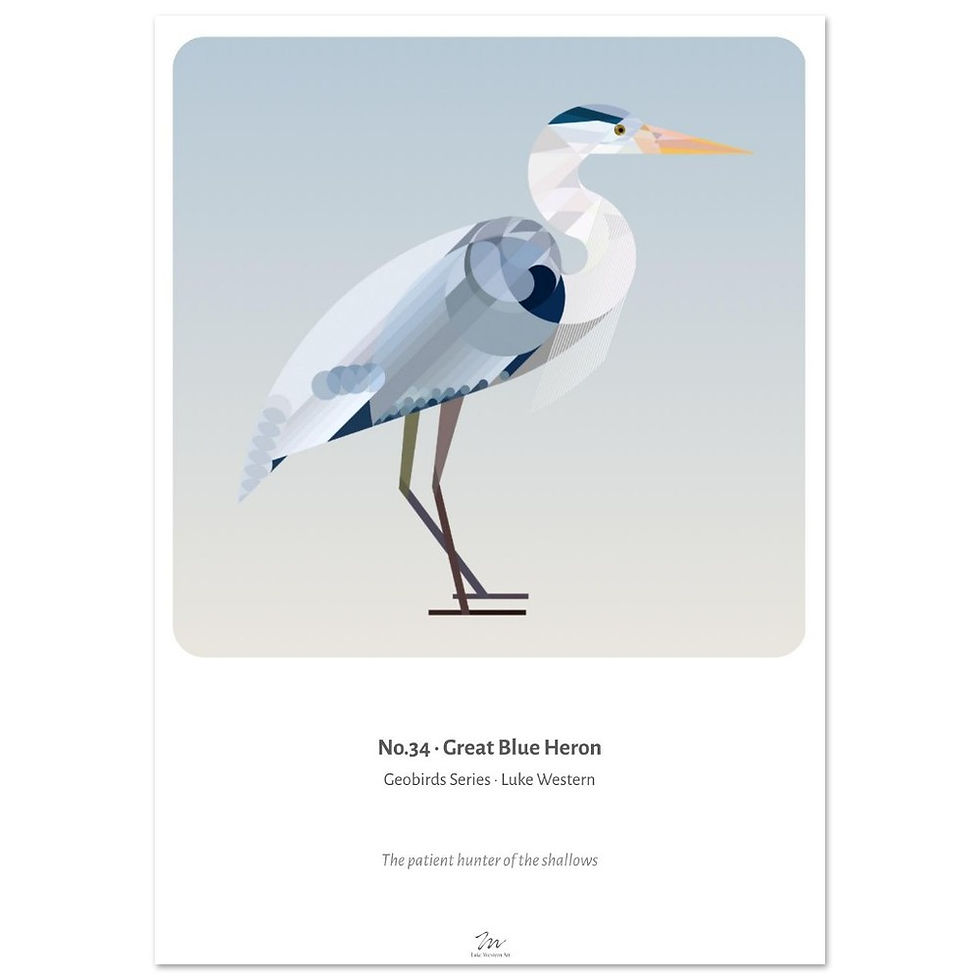 Thumbnail: Great Blue Heron Art Print