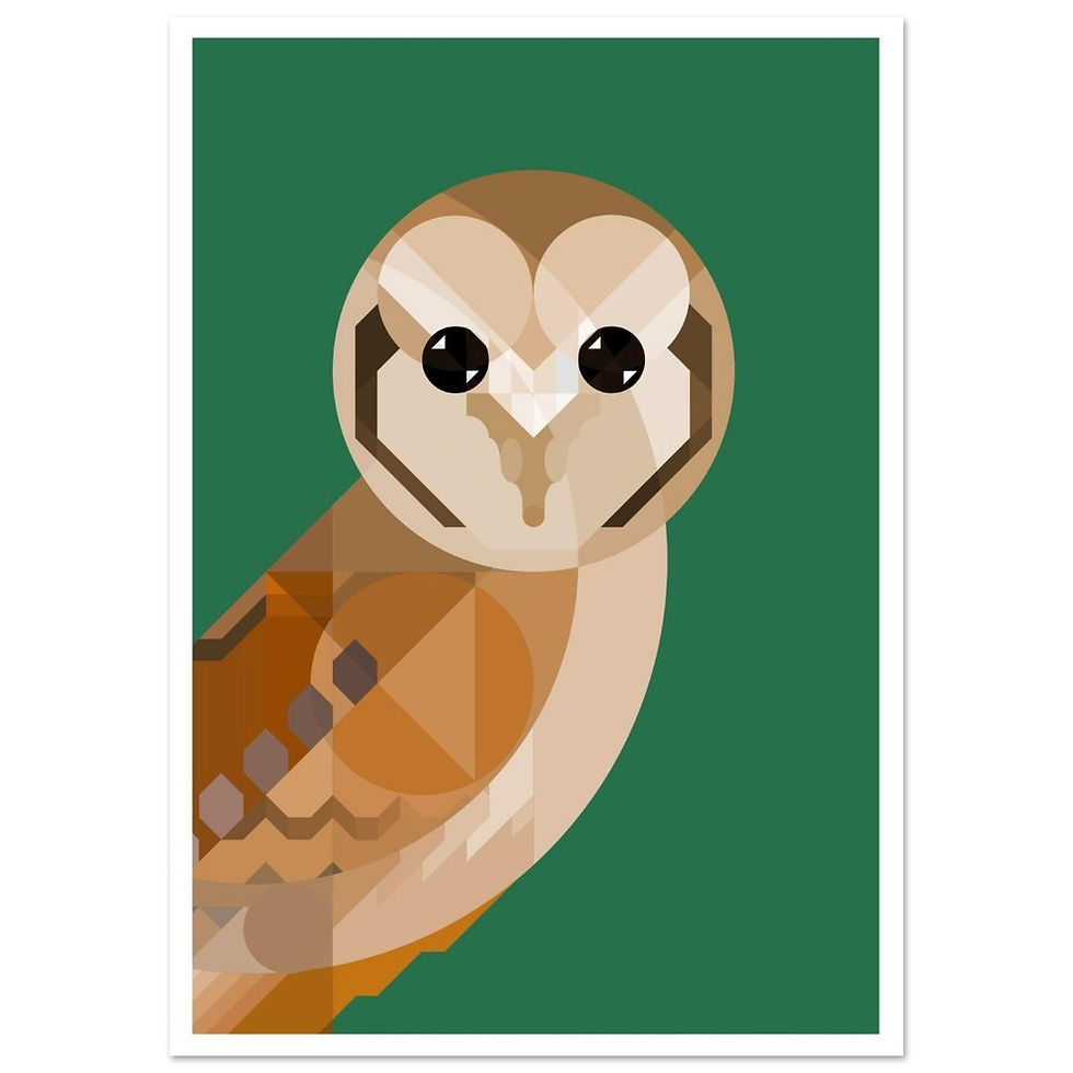 Thumbnail: Barn Own Graphic Poster