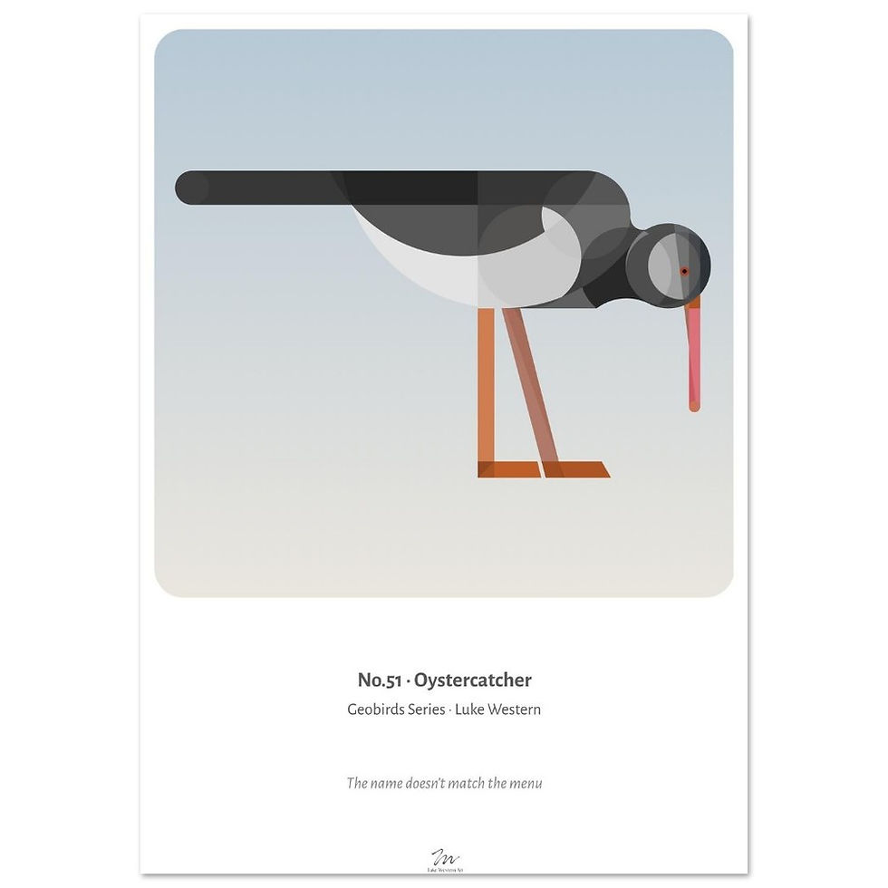 Thumbnail: Oystercatcher Art Print
