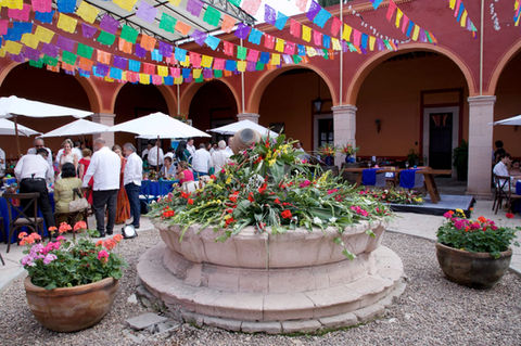 Adriana_Tavernini (12).jpeg