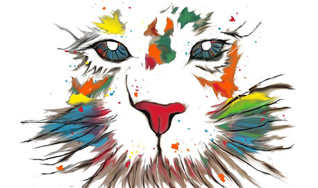 Gato atigrado_LI.jpg