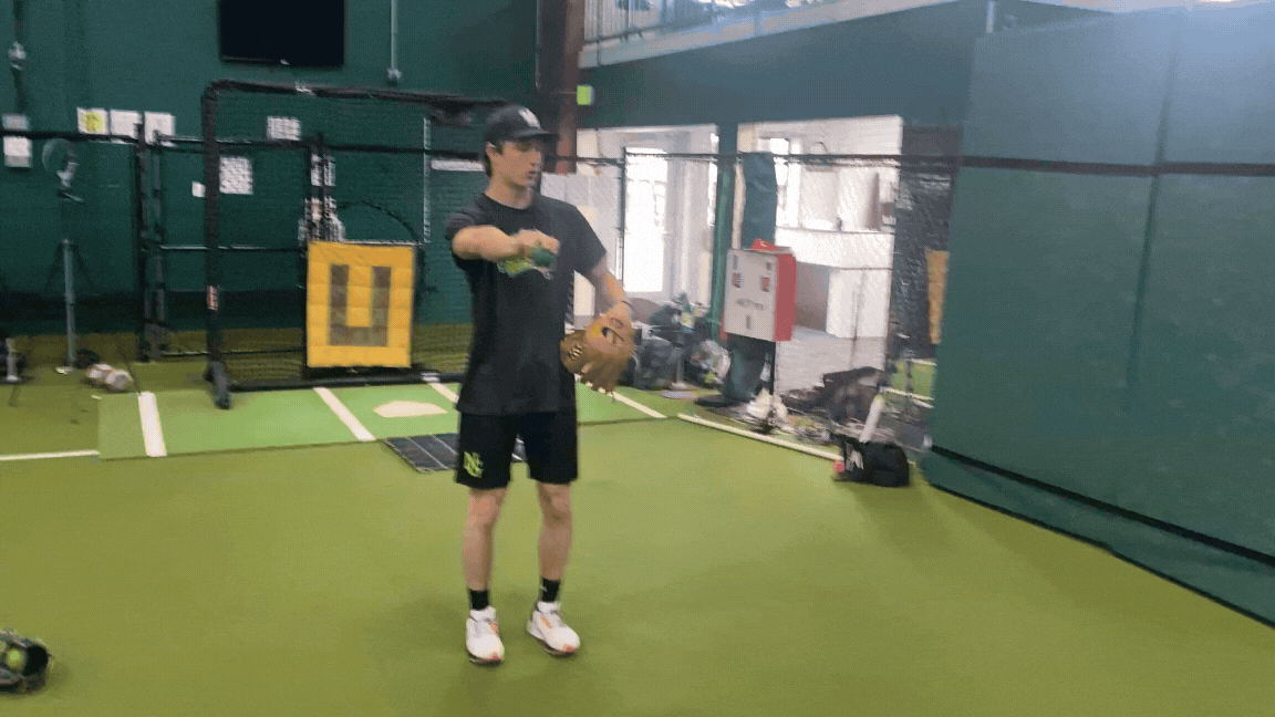 Untitled design (4).gif