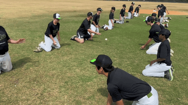 Untitled design (13).gif