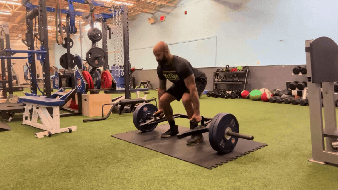 Untitled design (6).gif