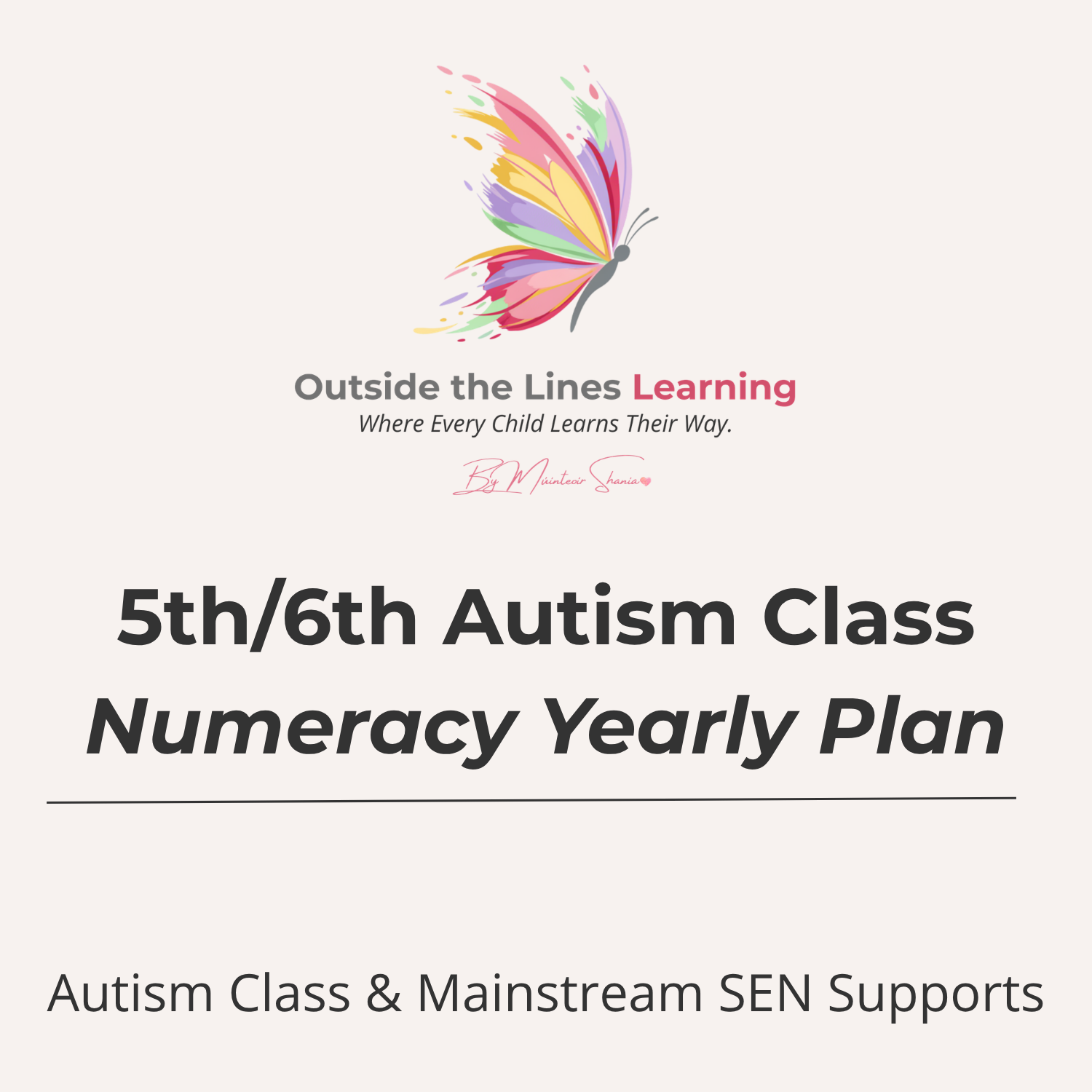 Numeracy Yearly Plan- 5th & 6th Autism Class