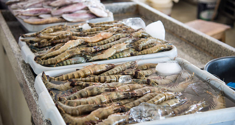 camaroes-do-mercado-do-peixe-de-maputo.j
