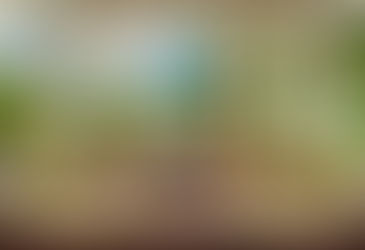 Montego Bay Magnificence at Round Hill Hotel & Villas Jamaica