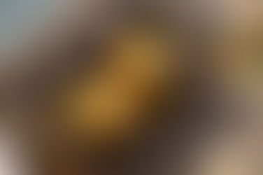 Gala & Muse Bar & Restaurant a Hit at the Hilton Aventura Miami