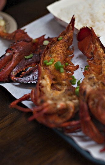 Dungeness Crab