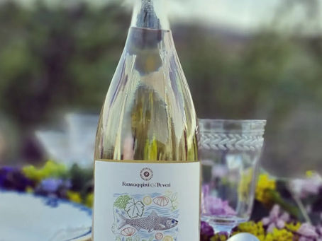 🍷DISCOVERY WINEMAKER - FORMAGGINI E PEVERI 