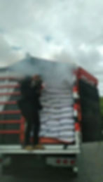 fumigado