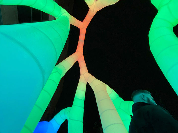 Grove by Pneuhaus Upward Night View