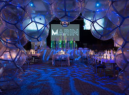 Ice Dome by Pneuhaus