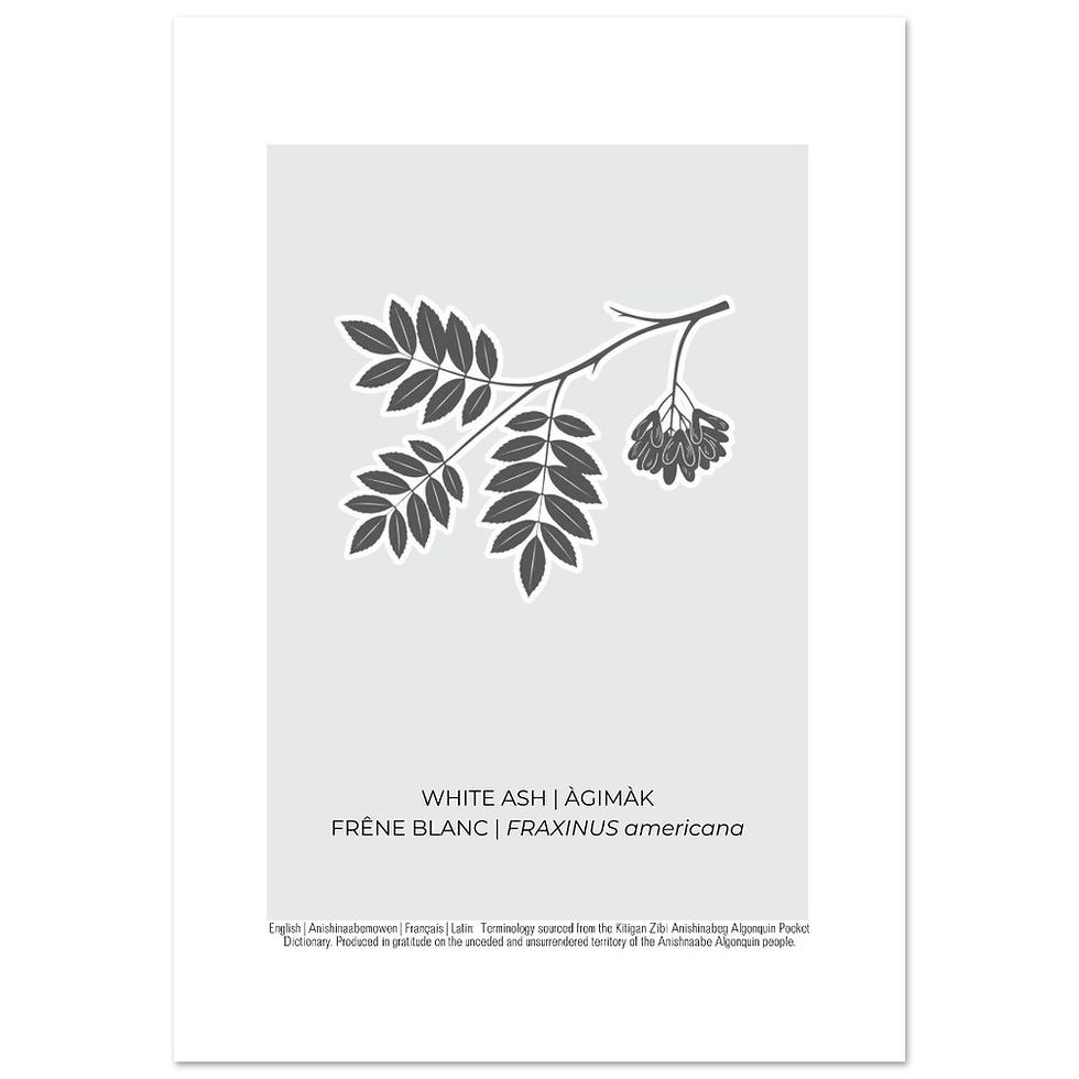 Thumbnail: White Ash Art Poster