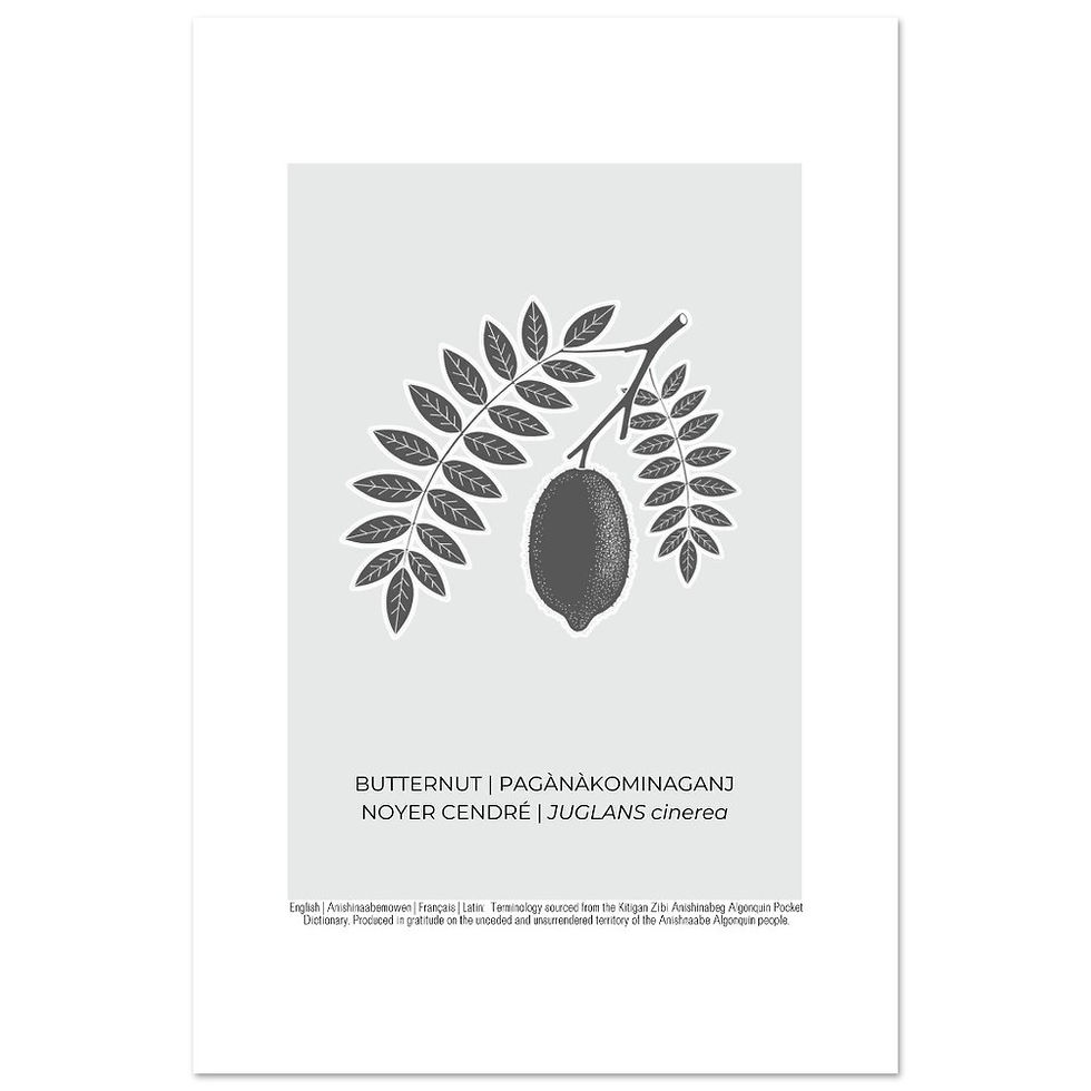 Thumbnail: Butternut Art Poster