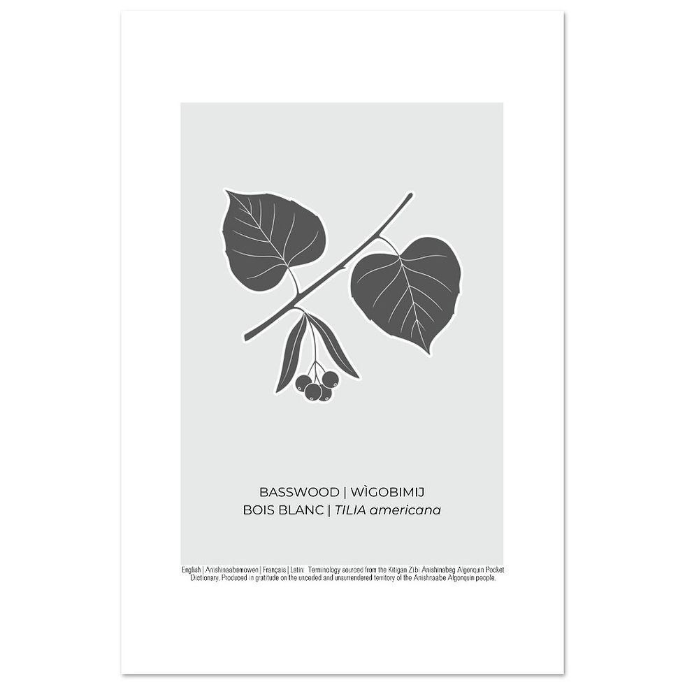 Thumbnail: Basswood Art Poster