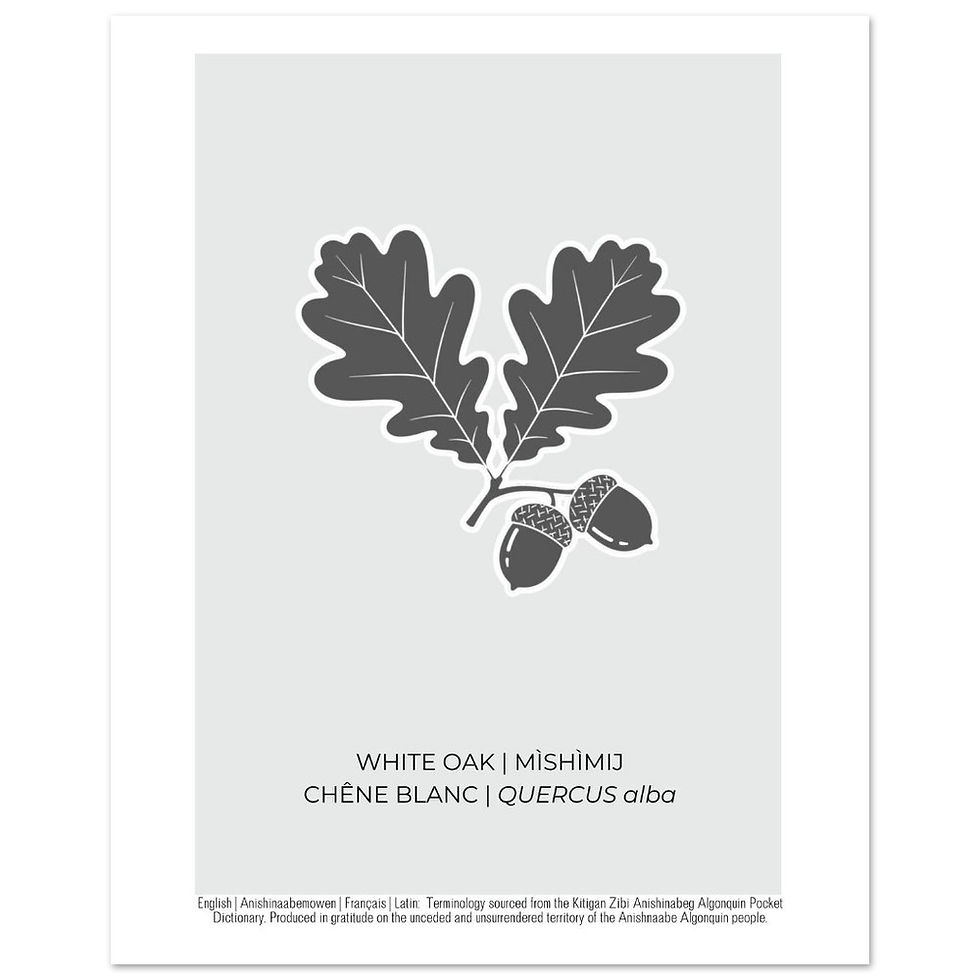 Thumbnail: White Oak Art Poster
