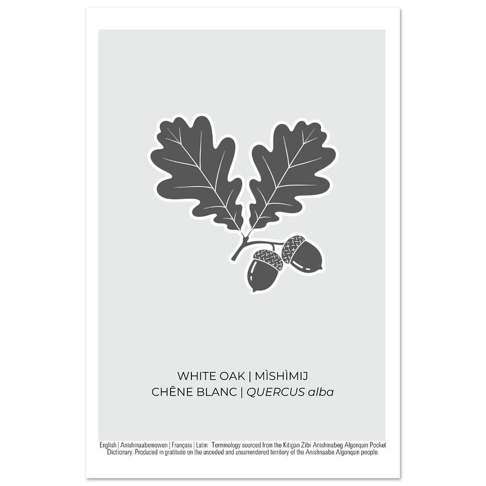 Thumbnail: White Oak Art Poster