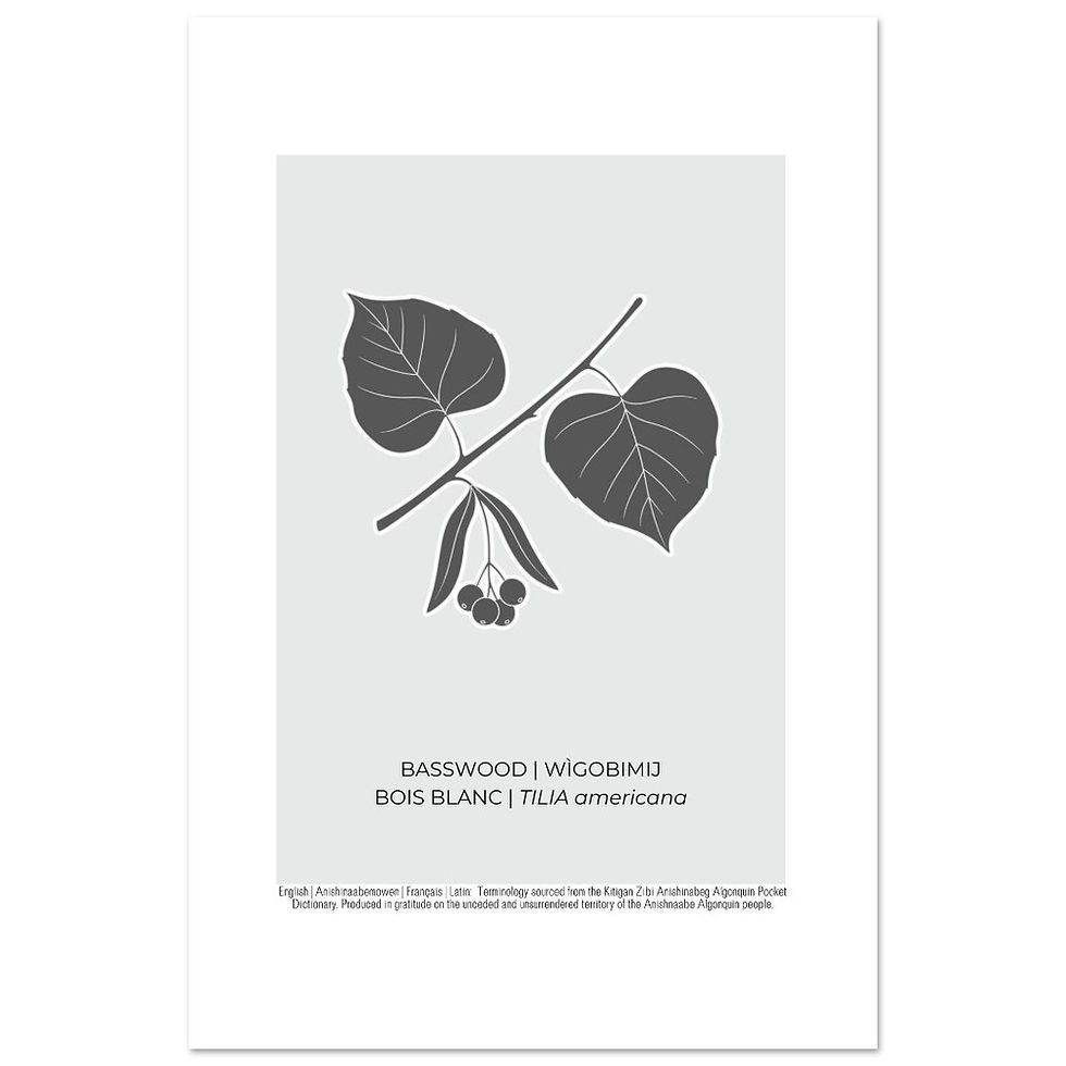 Thumbnail: Basswood Art Poster