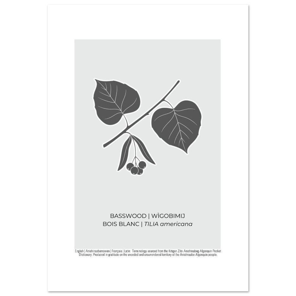 Basswood Art Poster