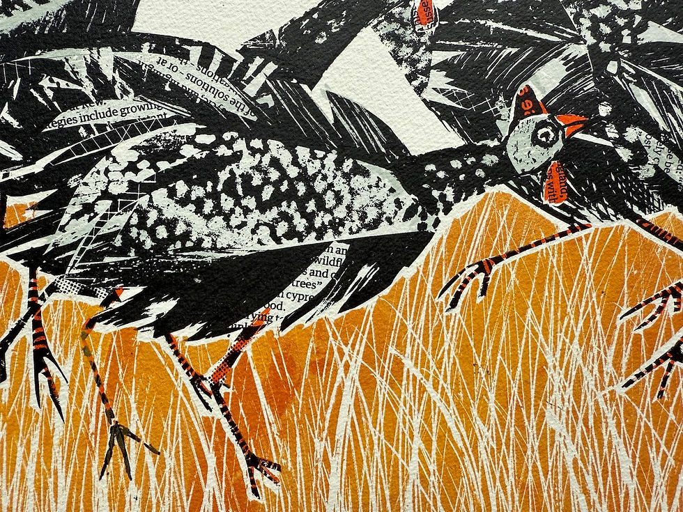 Thumbnail: A Confusion of Guinea Fowl