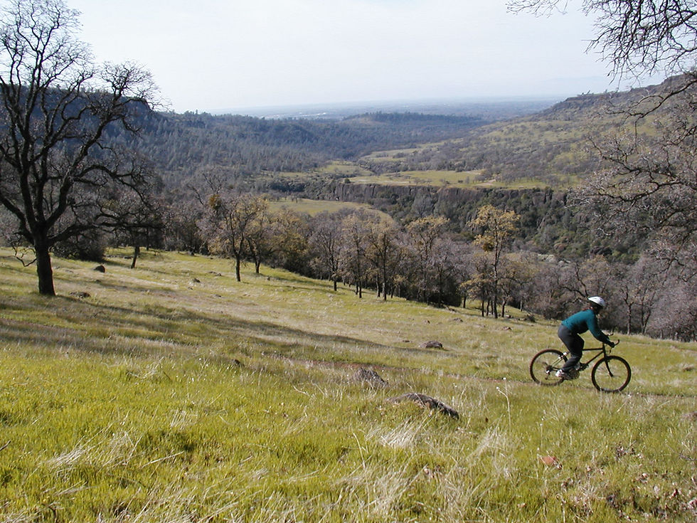Mountain biking over green hills