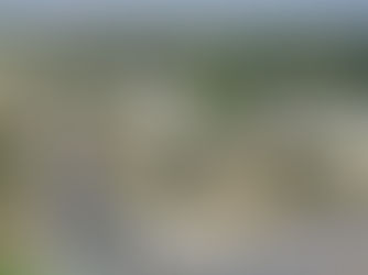 APPLY NOW - City Engineer - City of Palm Desert, CA