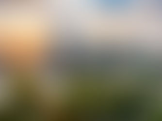 APPLY NOW - City Attorney - Grand Rapids, Michigan