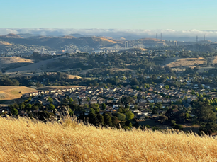 APPLY NOW - Assistant City Attorney (Labor and Employment) - City of Vallejo, CA