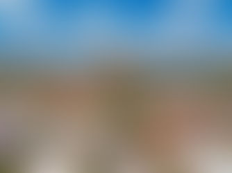 APPLY NOW - City Manager - San Angelo, TX