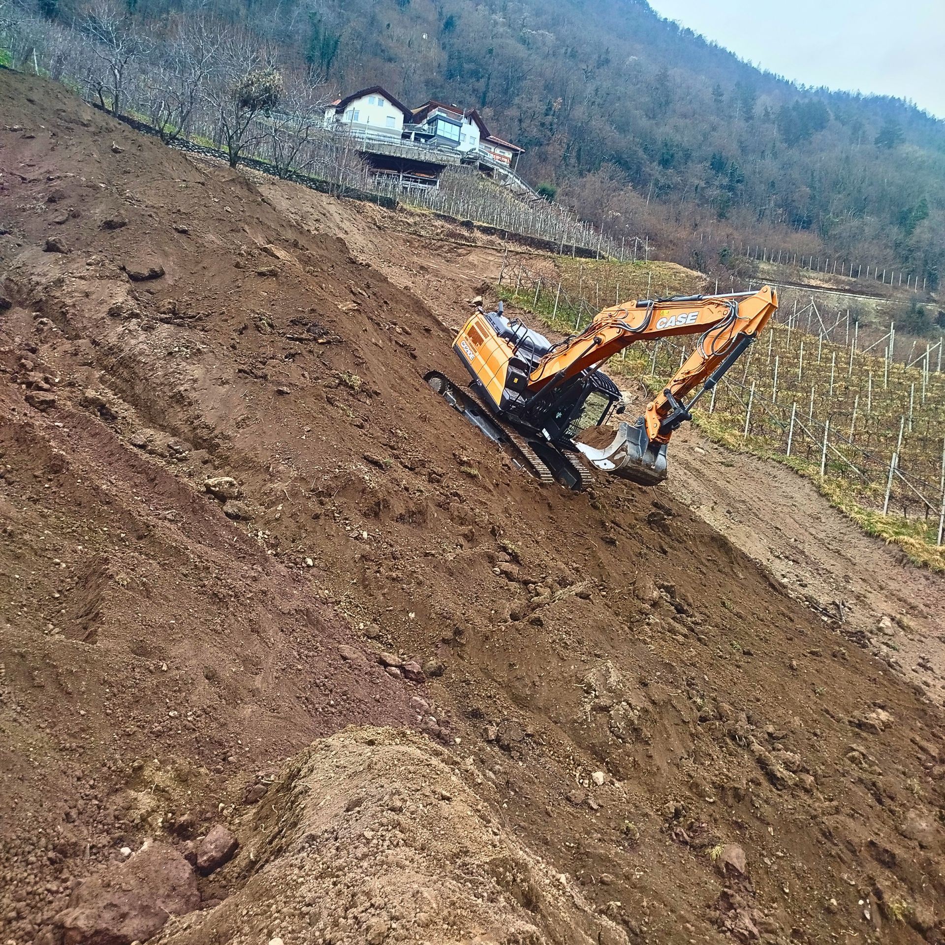 Bagger im Steilhang