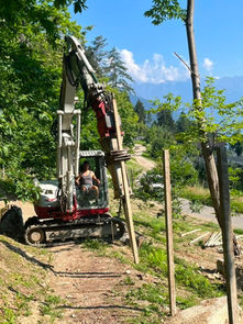 Wildzaun in Völlan & Naraun