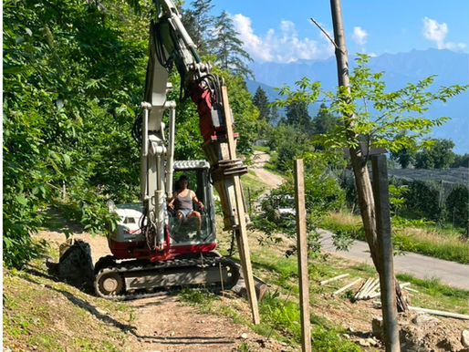 Lavori nel bosco